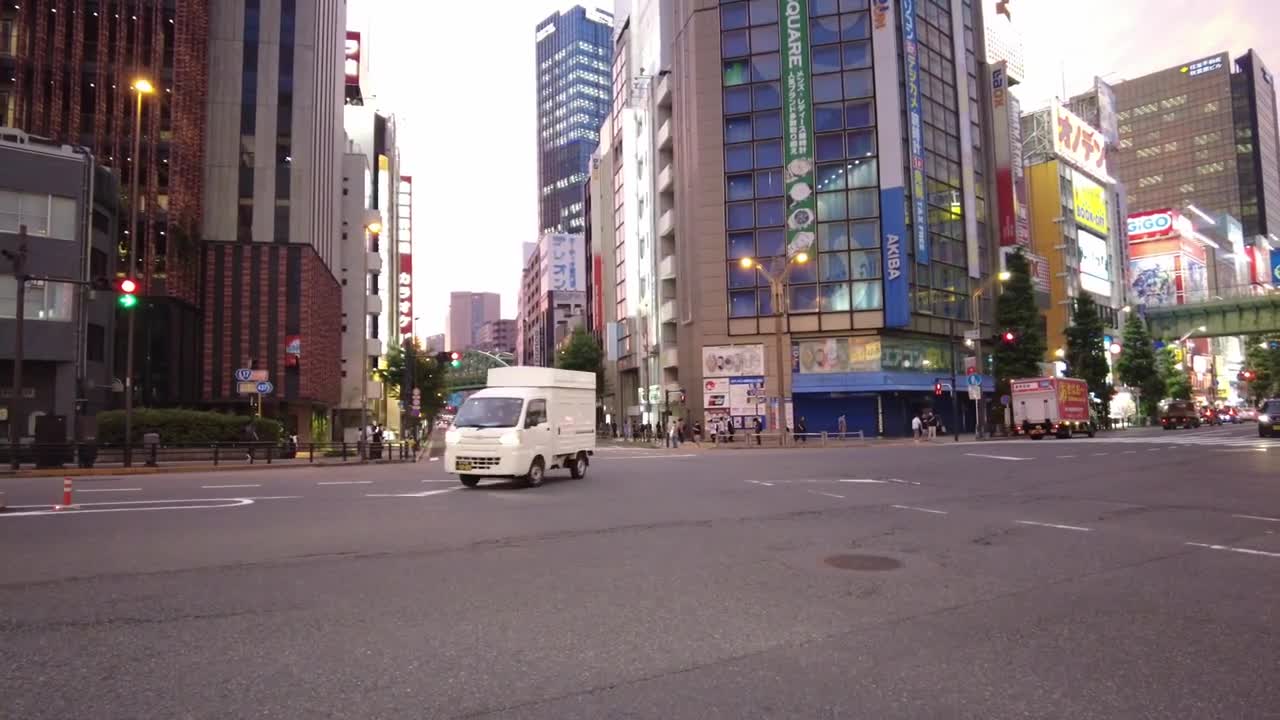 Countless Cute Maid Cafe Girls In Akihabara At Night.