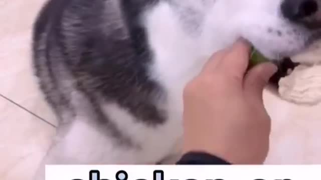 He is angry with me now