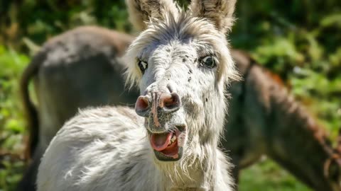 FUNKY DUNKY | RELAXATION.