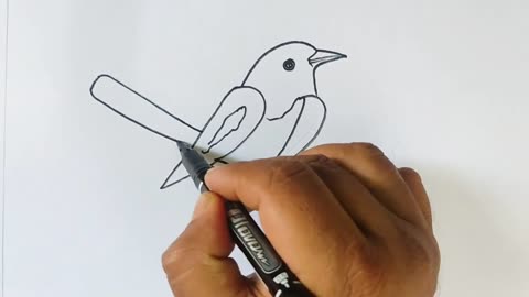 Magpie Bird Drawing