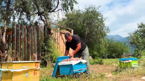 Big Lamb And 100 Chicken Eggs! Cooking In The Heart Of Mountain Nature