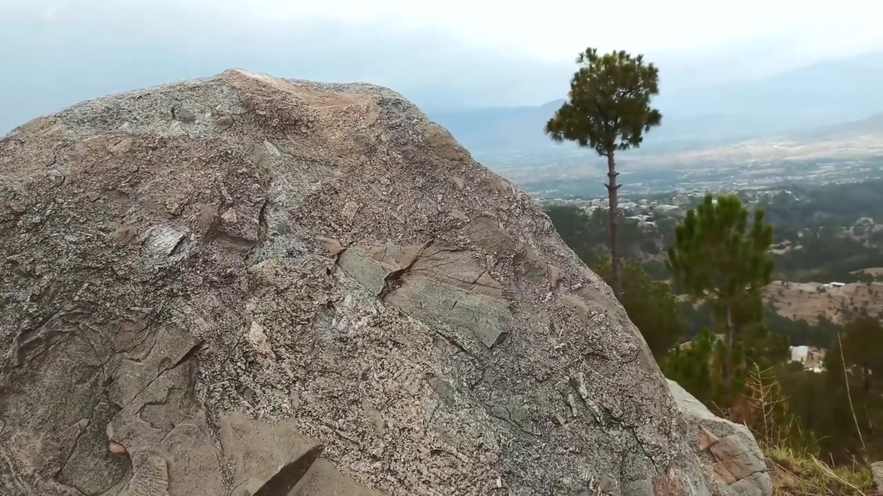 Nature Life View Of Mountains