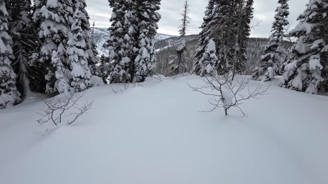 Breaking trail out to the knob
