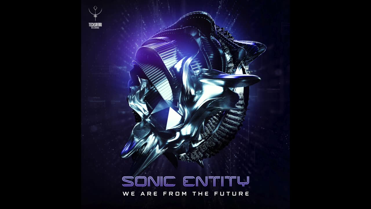 Sonic Entity - We Are from the Future