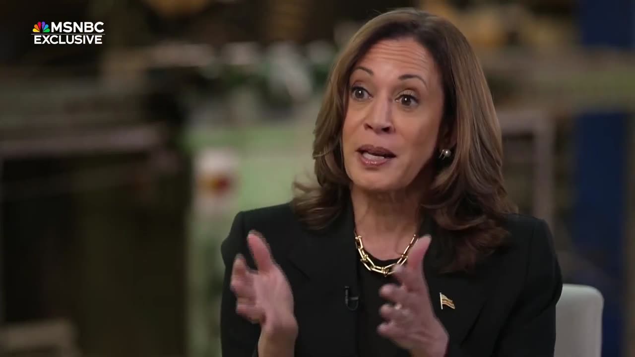 Kamala Harris’ first solo network interview as 2024 candidate I MSNBC Exclusive