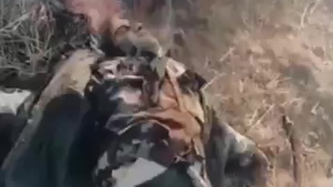 (Graphic) "Moderate rebels" winning the hearts & minds of Syrian minorities in villages near Latakia......