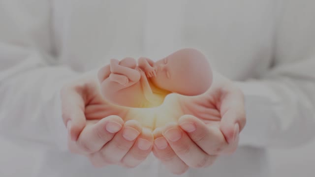 Infants and Embryos. I Am Fetus – Pro-life Music Video