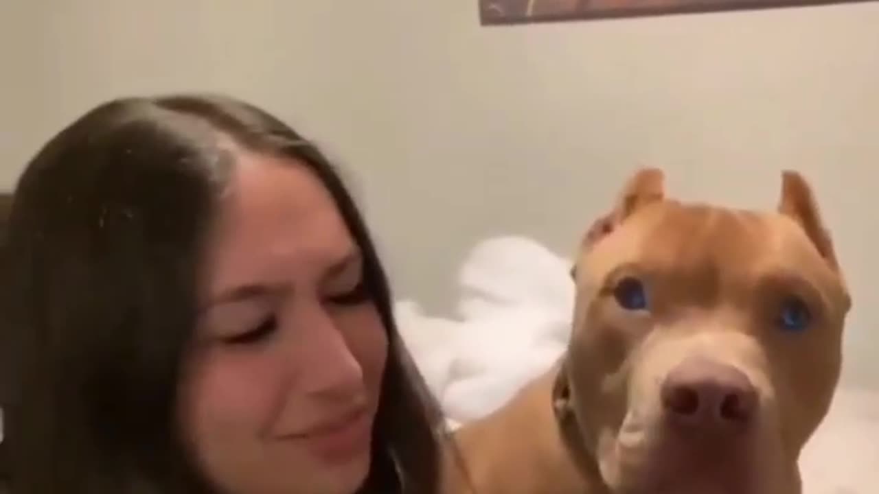 Wait until the end😂😂😂😂