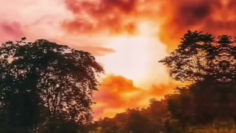 Nature love