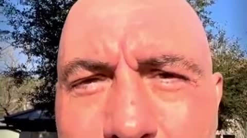Joe Rogan shreds the “misinformation” narrative