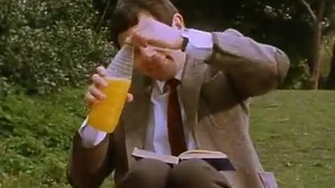 Mr bean | Bean picnic | wasp