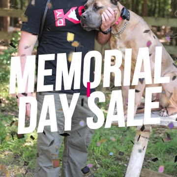 The BEST Online Dog Training Courses Are Available Right Now for 20% Off When You Use Code MD2024