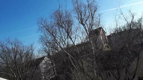 Himmel in Berlin am 15.02.2023 um 13:25 Uhr