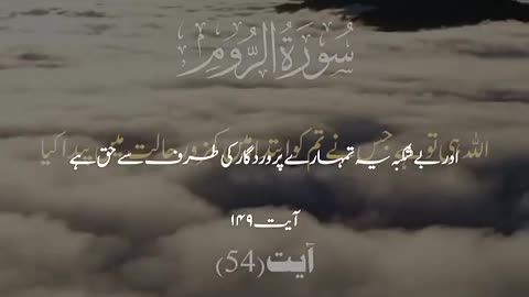 Surah Baqrah with Urdu translation #tilawat #quranshorts