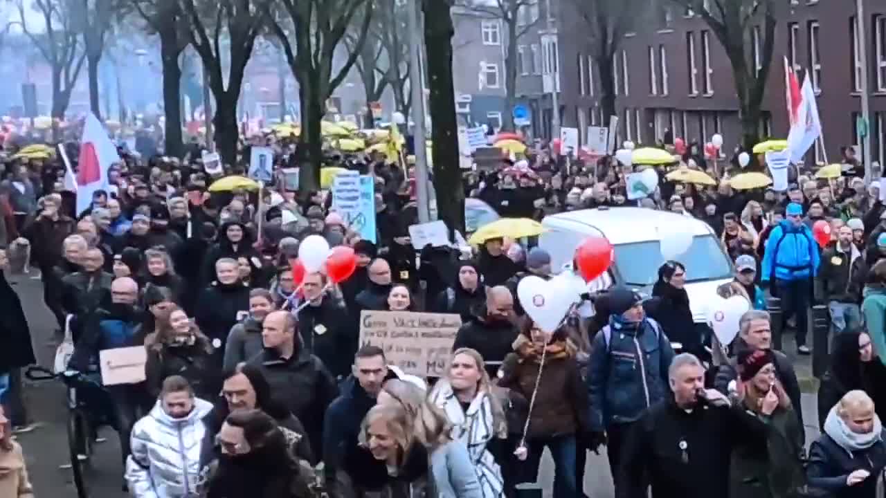 🇳🇱 ✊ The Dutch Revolution NOW!