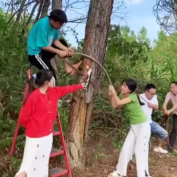 Ultimate Mini Saw 🪚| Heavy Duty Trimming ✂️| Compact Power! #DIY