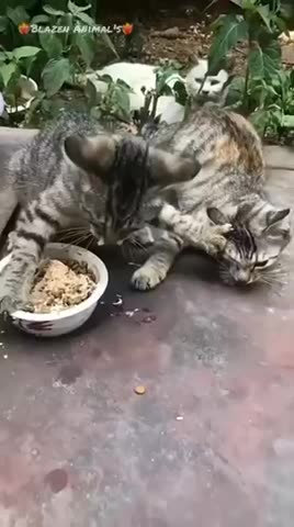 A GIGGLE FOR YOU 3-11-23