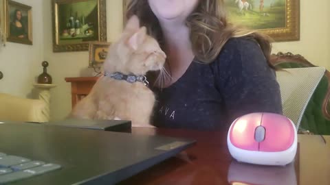 Vlogmas Day 5
