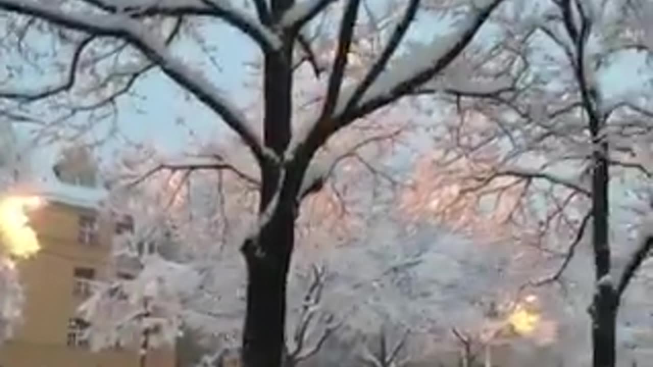 See this viral video of winter season in Munich