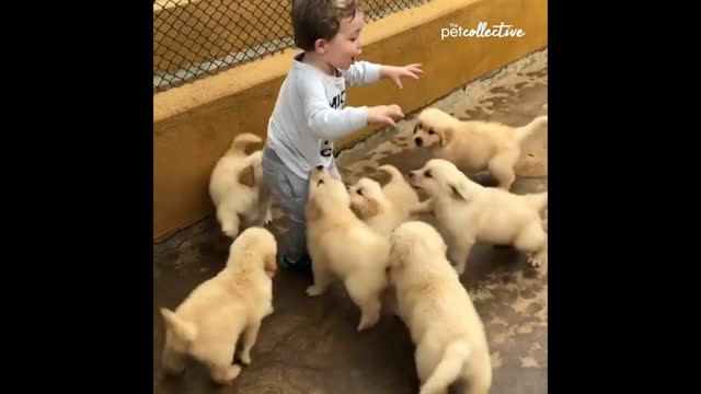 Puppies & Babies Can you handle the sweetness-! Part -2 👶♥️🐶