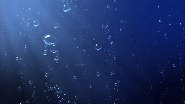 Underwater video