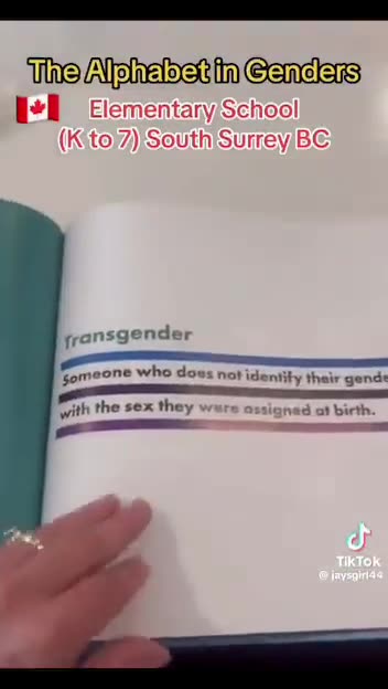 Questo è il "nuovo ABC del gender"