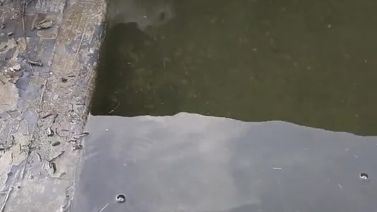 #Useful#Beautiful#Funny #Funny video#laugh# interesting#video#short video#short#short cut