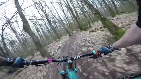 Mountain bike