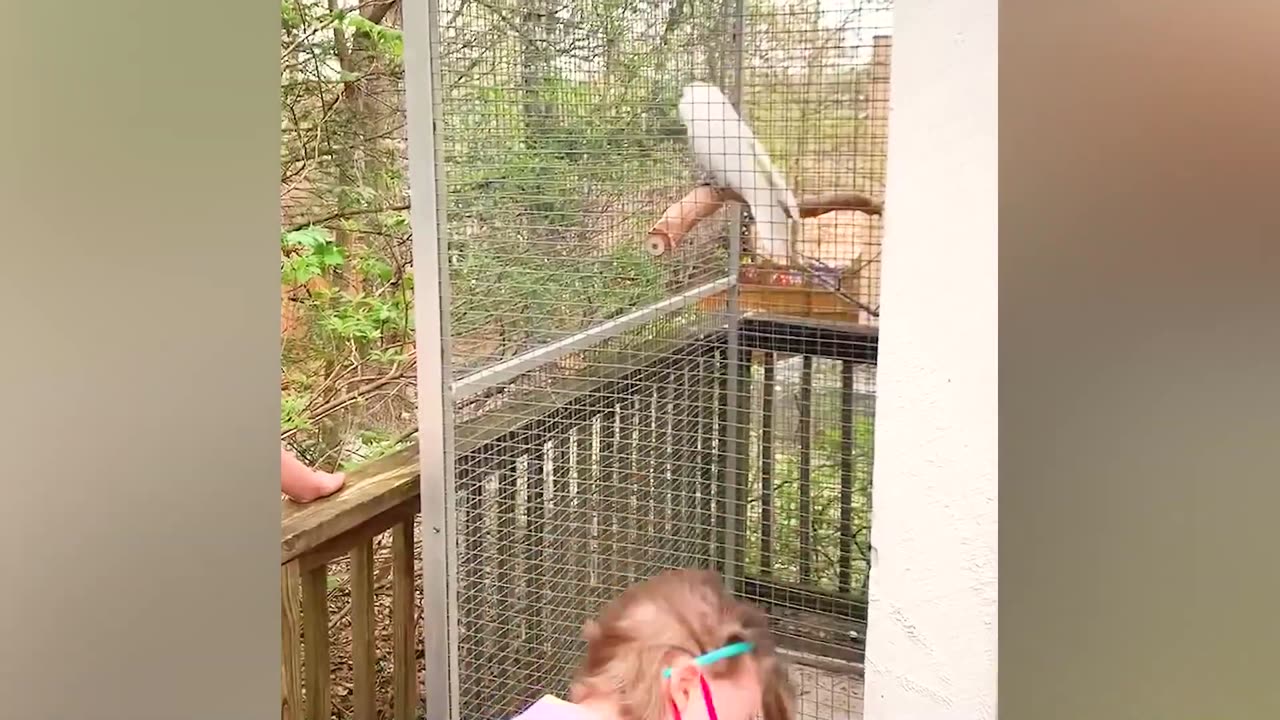 TRY NOT TO LAUGH 🤣🤣🤣🤣🤣 Best funny video