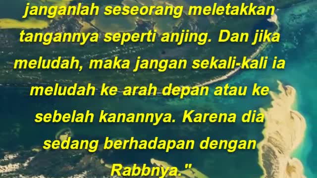 Seimbanglah dalam sujud dan janganlah seseorang meletakkan tangannya