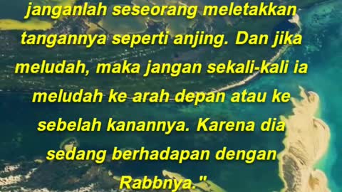 Seimbanglah dalam sujud dan janganlah seseorang meletakkan tangannya