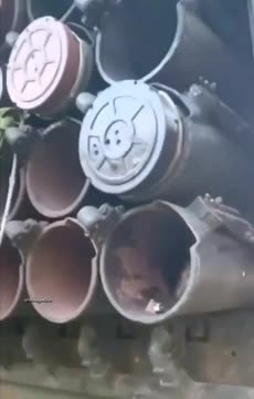 Secret Agent Hedgehog Preparing to be Sent Behind Russian Lines