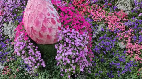 Take a moment to enjoy the beautiful flowers at the Dubai Miracle Garden in UAE.