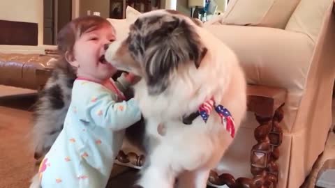 Dog Kisses Baby