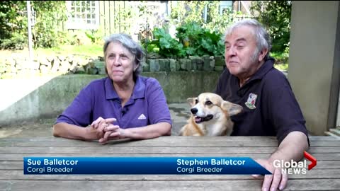 Looking back at the queen’s love of corgis