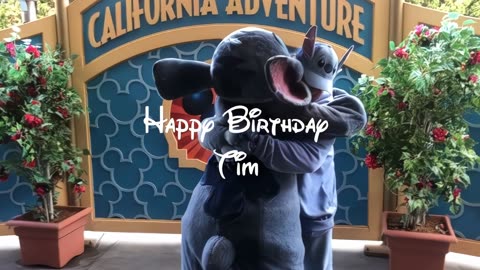 21. Magical Birthday Surprise