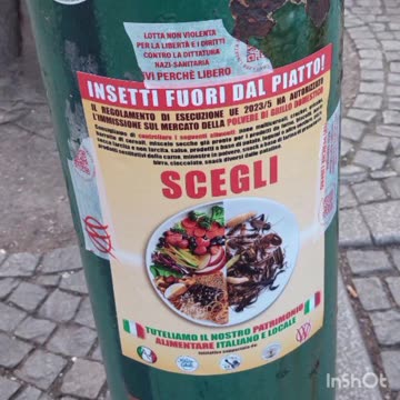 QUESTE MERDE CRIMINALI SONO ANNI CHE BRAMANO IL DEPOPOLAMENTO