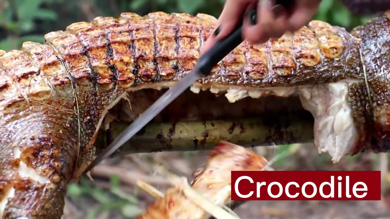 wow never saw before hunting crocodile and cooking | unfear girl cook crocodile |