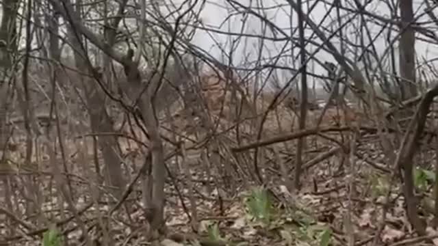 Ukraine Soldier Killed by Tank