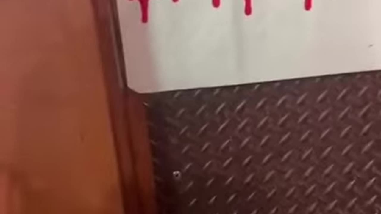 SCREAM FOR BOOBIES👀🤣WHAT'S THE DEALIO🍺😎