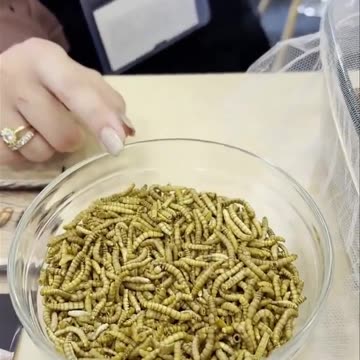 ΑΡΓΟΥΝΕ ΟΛΑ-ΔΙΚΑΙΩΣΗ ΛΙΑΚΟ-ΔΕΙΤΕ