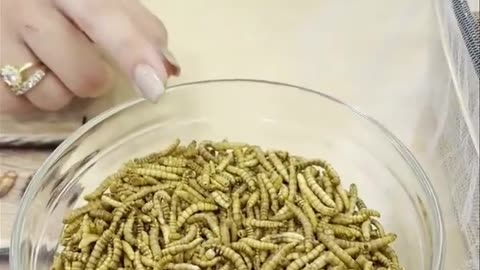 ΑΡΓΟΥΝΕ ΟΛΑ-ΔΙΚΑΙΩΣΗ ΛΙΑΚΟ-ΔΕΙΤΕ