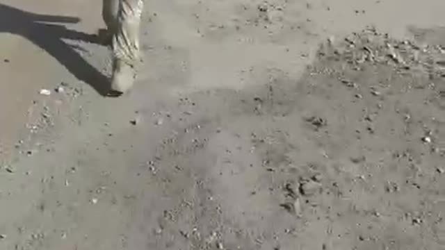 Kiev regime forces leaving Artemovsk. (3.10.22)