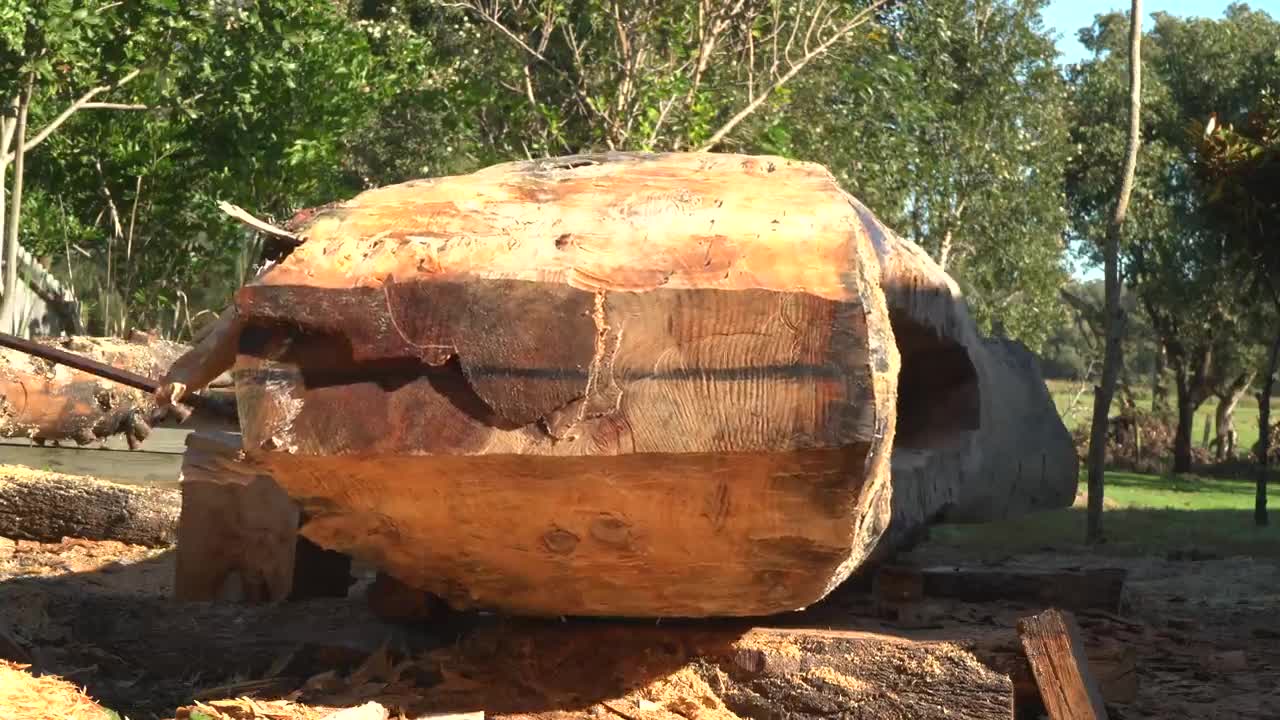 DUGOUT CANOE BUILD - Timelapse, by Outbackmike