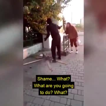 🇮🇹 Immigrants cooking Cats in the street in Italy