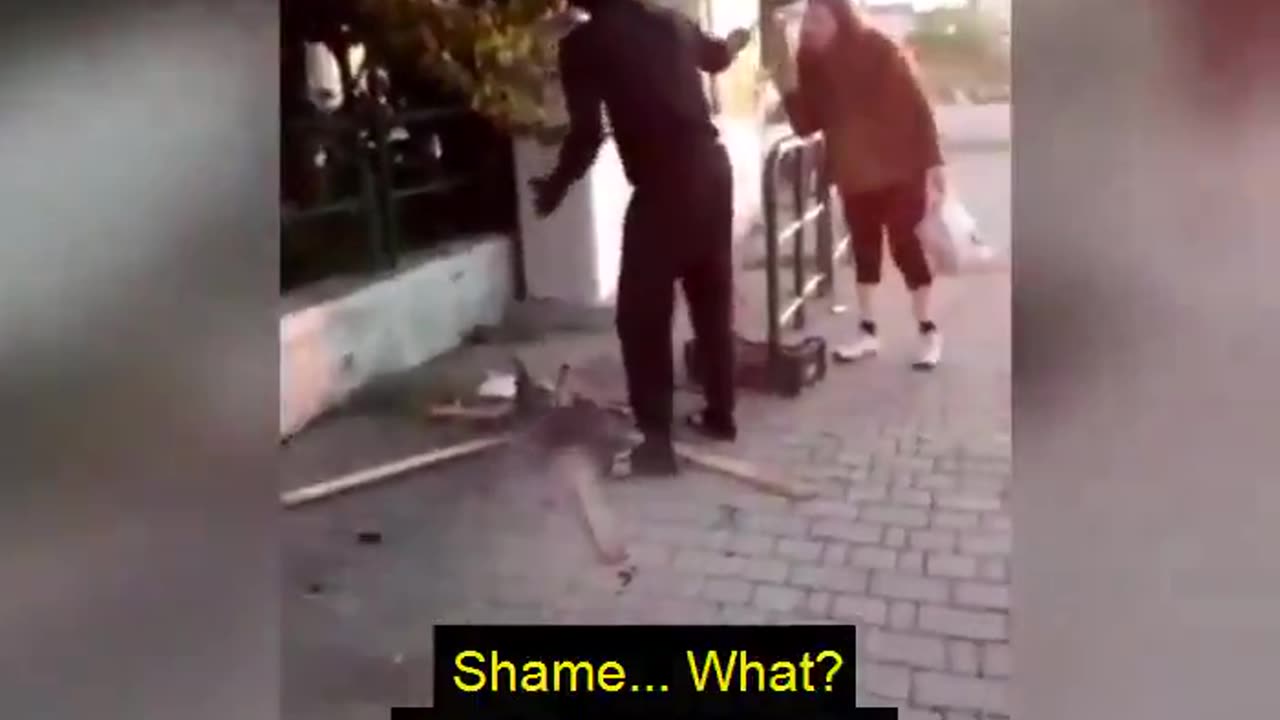 🇮🇹 Immigrants cooking Cats in the street in Italy