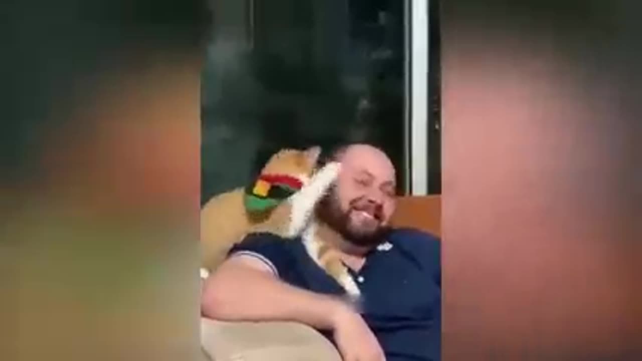 Cat's Funny video 😂 2023