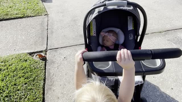 Toddler Pushed His Baby Sister in her Stroller