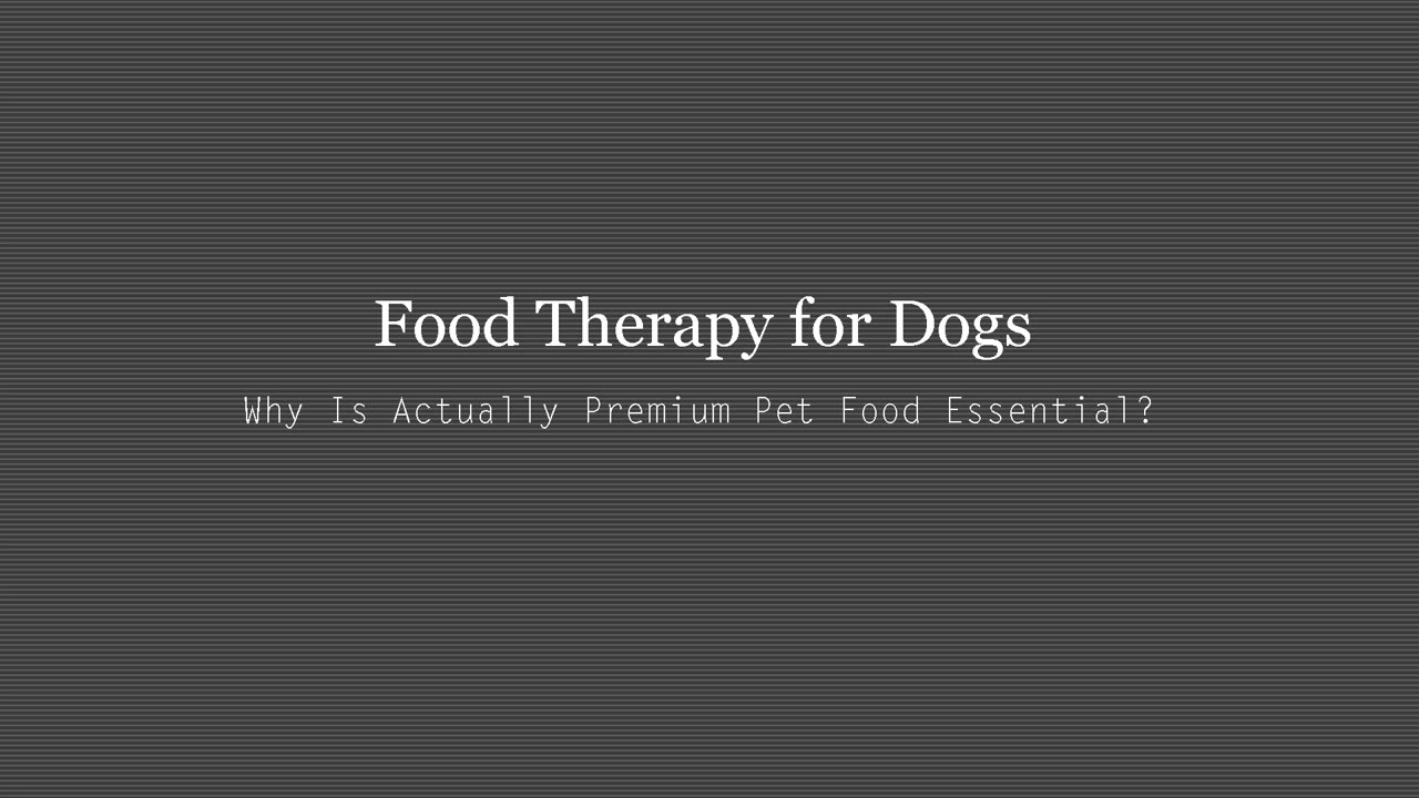 Why Is Top Quality Pet Food Items Vital?