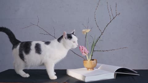 A Cat Smelling Fragrance Of Flower